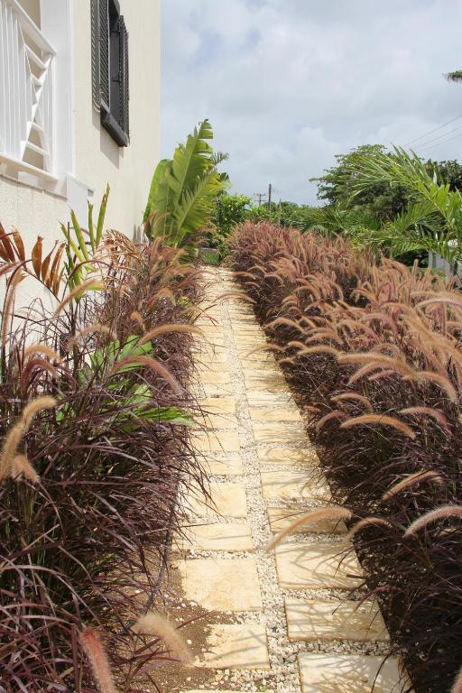 Lantana Resort Barbados By Island Villas 圣詹姆斯 外观 照片